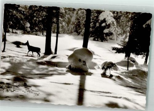 Steibis Wintermorgen Winter Schnee Reh Wald Ort lt. Verlag