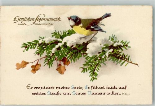 Neujahr Tannenzweigen Psalm