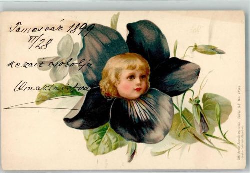 1899 Lith.Artist Anstalt Serie 53 Nr.18549