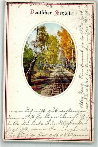 1915 Deutscher Herbst Landschaft Schwarz-Weiß-Rot Photochromie Serie 242 Nr.3884