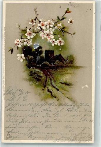 1900 Mondschein Serie XV Blumen Landschaft