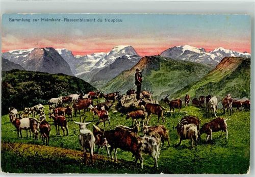 Sammlung zur Heimkehr Edition Photoglob Nr. 2453