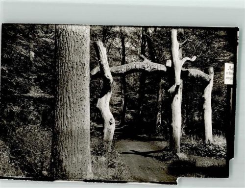 Bockhorn Foto Original aus Archiv eines Ansichtskartenverlags Neuenburger Wald Ort handschriftlich