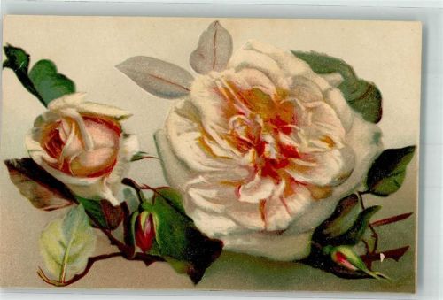 Rose P.M.B. Ser. 4394