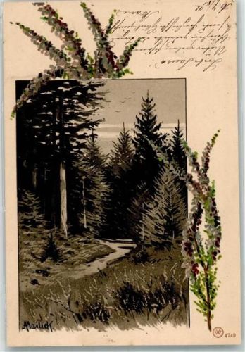 1902 Bäume Wald WV Nr.4749