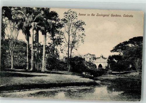 Calcutta 1911 Zoologischer Garten