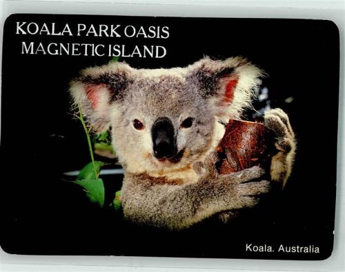 Koala Park Oasis Magnetic City