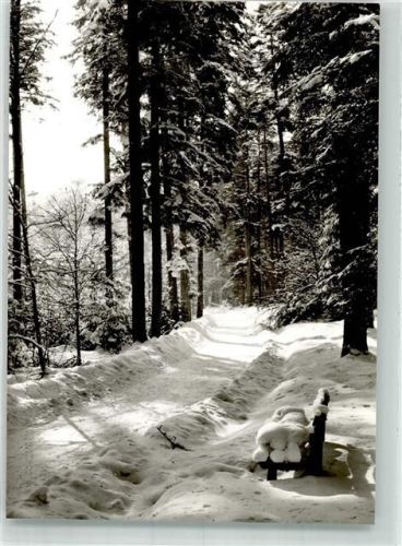 Bad Wildbad Verschneiter Waldweg auf dem Sommerberg
