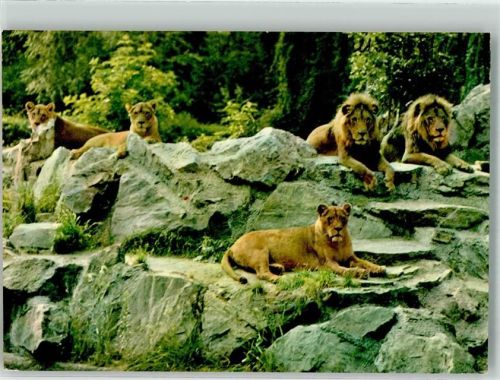 Frankfurt Freianlage Zoo