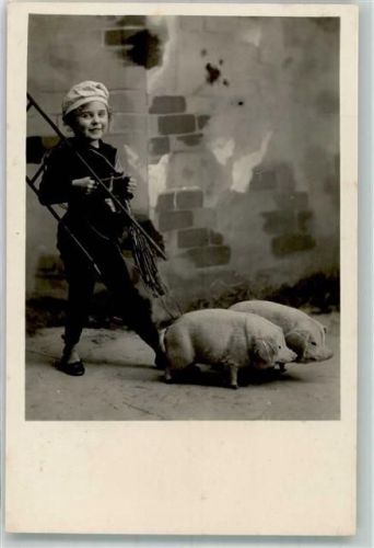 Schornsteinfeger