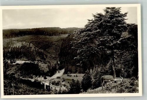 Bad Wildbad Klein-Enzhof