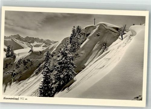 87538 W8975 Obermaiselstein Winter Gipfelkreuz des Wannenkopfes