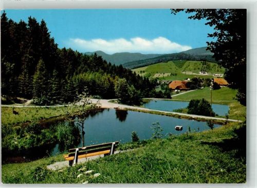 Unterharmersbach Teiche bei der Grillhütte Herrenholz