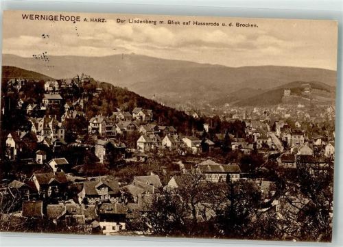 Wernigerode 1915 Lindenberg Hasserode Brocken
