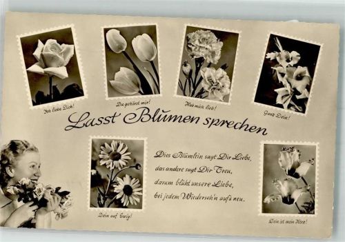 Rosen Tulpen Nelken Frau Spruch Amag Nr.70527