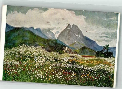 Serie XXV, 1 sign. Carl Reiser : Frühsommer Wiesenblumen