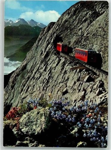 Alpnachstad Enzian Berge