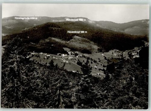 Hundsbach Hornisrinde Hauerskopf