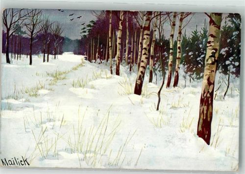1907 Winter Birken Winkler u. Vogt 5626