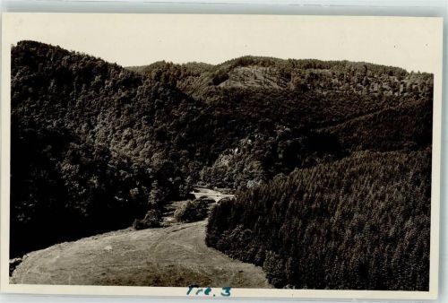 Treseburg Wilhelmsblick Ort handschriftlich Foto Original aus Archiv eines Ansichtskartenverlags