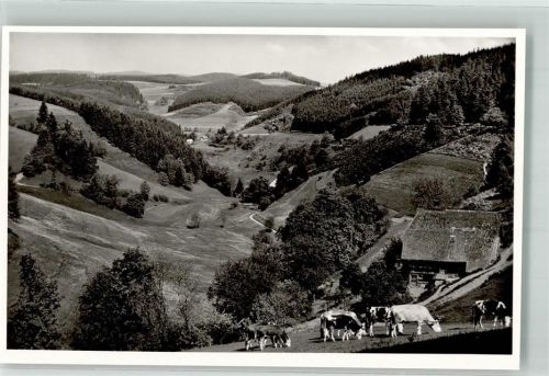 Triberg Nußbachtal