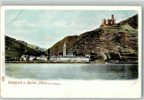 Wellmich Burg Maus