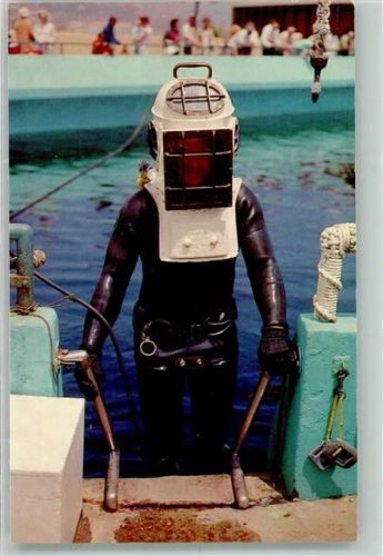Wassersport Diver at the oval Tank Marineland