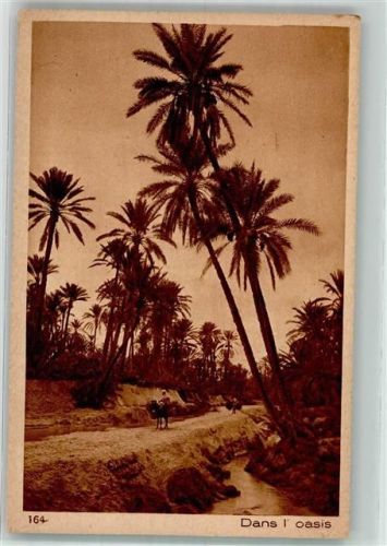 Biskra 1917 Nr. 164 Lehnert & Landrock Dans Oasis