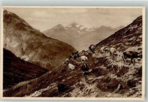 Auf der Alm Nr.2002