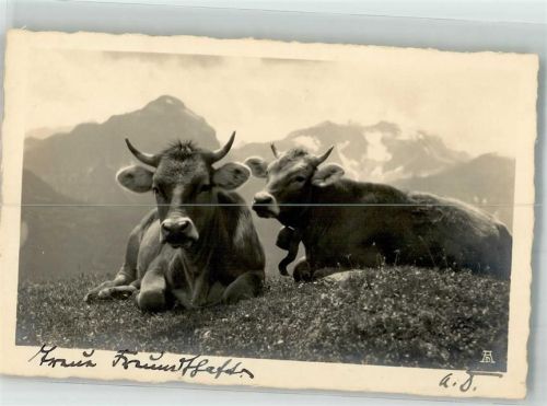 Berge
