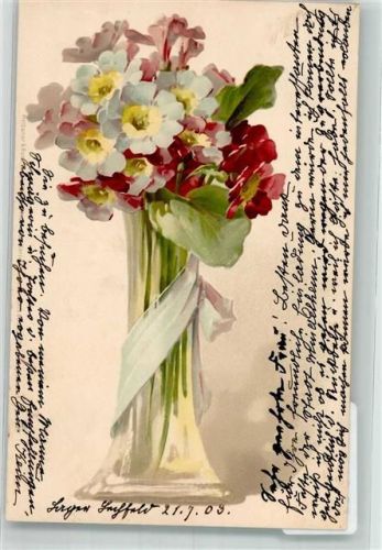 1903 Primeln in Vase Künstler-Postkarten Serie 5011