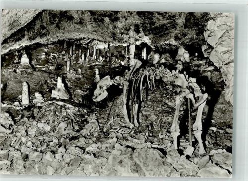 Wernigerode 1979 Baumannshöhle