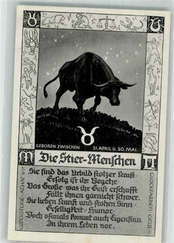 Stier Rückseite Text Verlag Sack Spandau