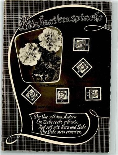 Nelken Spruch Amag Nr.9027-12