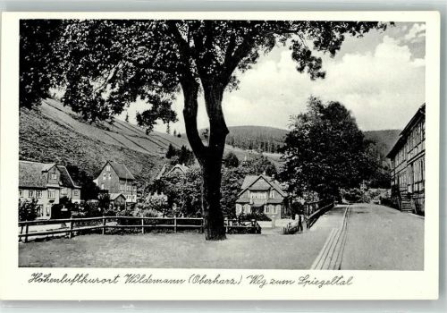 Wildemann