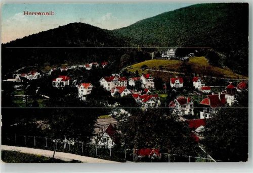 Bad Herrenalb 1925 Villenviertel