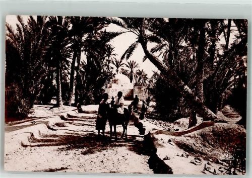 Real Photo C.A.P. 1233 Chemin dans la Palmeraie
