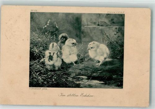 sign. Knobloch G. Im stillen Ecken G.H.K. Nr.196 Huhn 1910 Künstlerkarte
