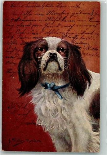 1904 Serie Rassehunde Verlag K. & B.D.