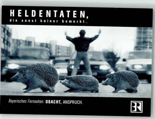 Bayerisches Fernsehen Umweltmagazin Unkraut Obacht Anspruch Igel