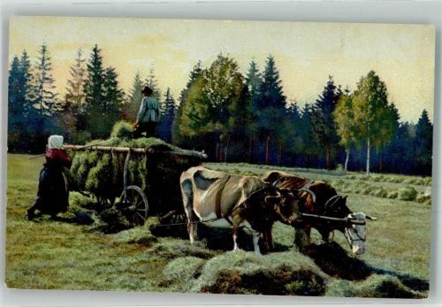 1910 Serie 107 2264 Tiergespann Heuernte Landwirtschaft