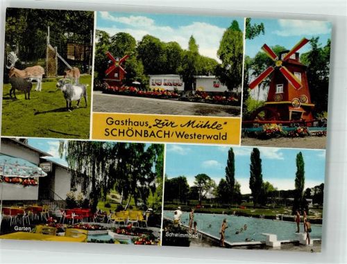 Schönbach Gasthaus zur Mühle Schwimmbad