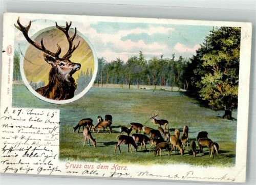 Bad Grund 1905 Wildtiere Der Harz Ort lt. Stempel