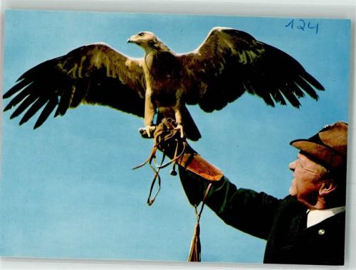 Rüdesheim Adlerwarte Niederwald Falkenhof Goldsteppenadler