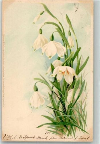 1903 Märzenbecher Künstler Postkarten Serie 1199 Zierden des Fühlings