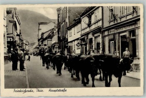 Friedrichroda Hauptstrasse Kuhherde