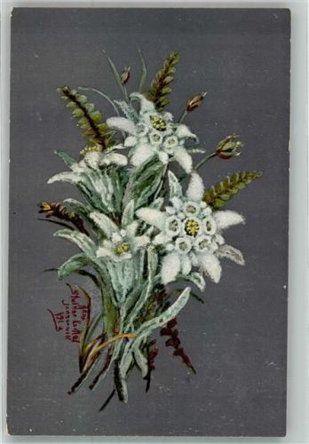 Innsbruck 1913 Edelweiss Tiroler Blumentag Verlag Leo Stainer
