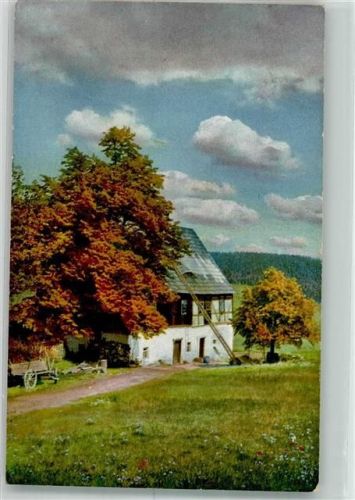 Altenberg Gasthaus Jägerhof Alte Rauscher- Mühle Rehefeld Photochromie Serie III Nr. 125