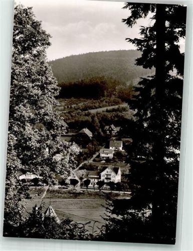 Bad Herrenalb Hotel kühler Brunnen