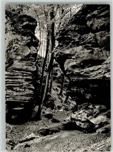 54666 W5527 Irrel - Gesichterfelsen in der Teufelsschlucht